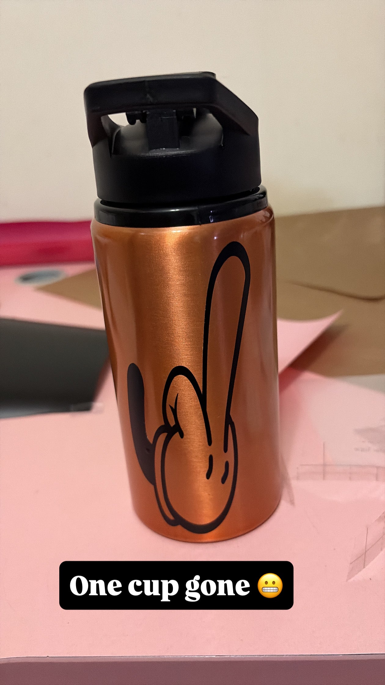 Insulated Tumbler Cups 17 oz.